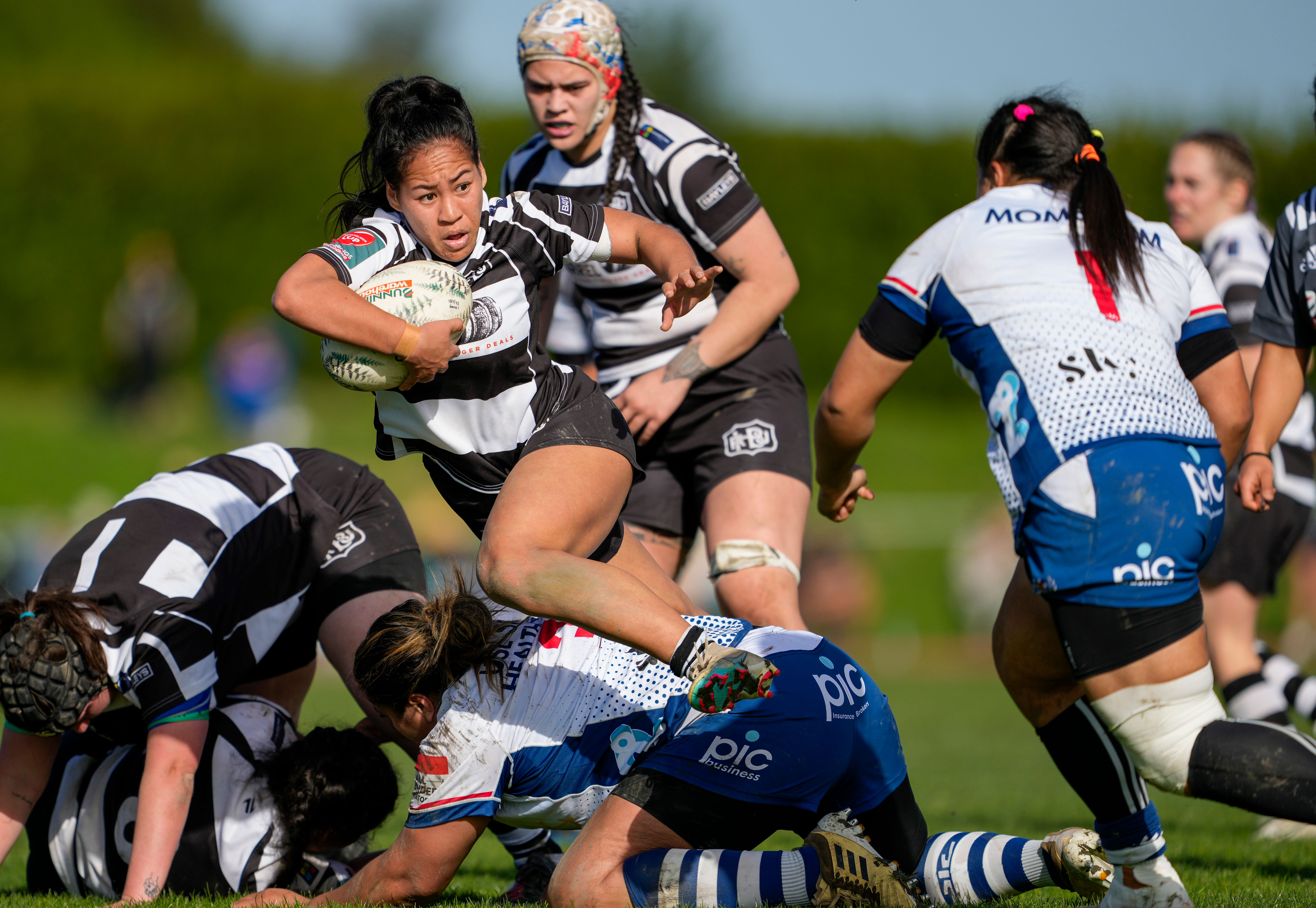 Awa Out to Create History for the Hawke's Bay Tui